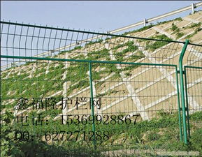 安平鑫福隆金屬絲網(wǎng)制品廠 專(zhuān)業(yè)供應(yīng)各類(lèi)護(hù)欄網(wǎng)與防護(hù)設(shè)施